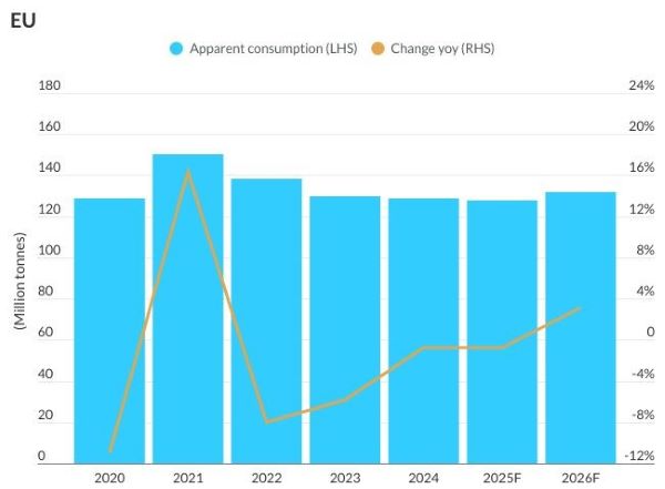 Fitch Ratings ожидает восстановления мирового спроса на сталь за пределами Китая в 2026 году